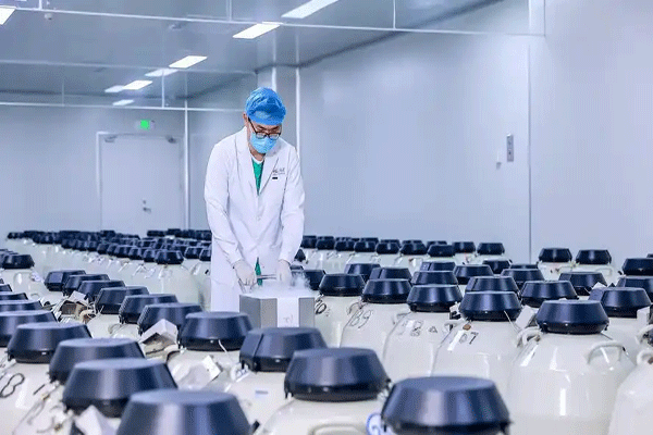 人类精子库门诊客户接待走廊
